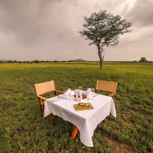 Private dining table for two set on the open Serengeti plains beneath an acacia tree, Tanzania
