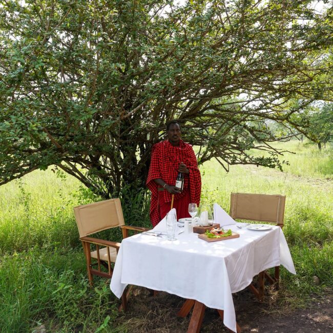 Maasai host serving a private bush lunch under a tree in the Serengeti, Tanzania