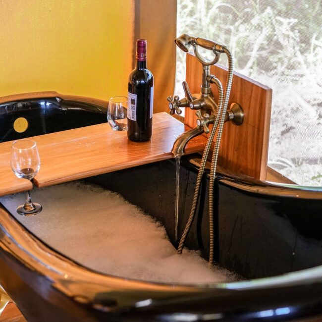 Freestanding clawfoot bathtub with wine and bubbles in a luxury safari tent, Serengeti, Tanzania