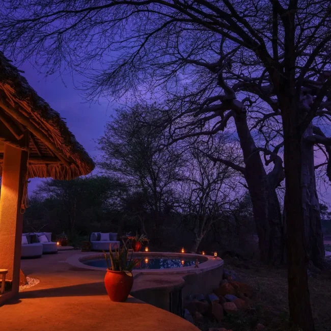 Candlelit plunge pool and thatched lounge terrace at night beneath a baobab, Serengeti, Tanzania