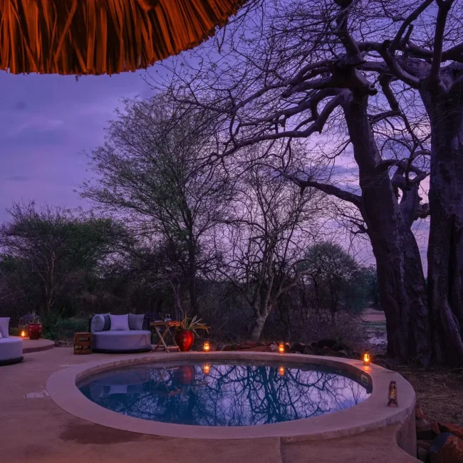 Candlelit plunge pool and lounge seating beneath a baobab at twilight in the Serengeti, Tanzania