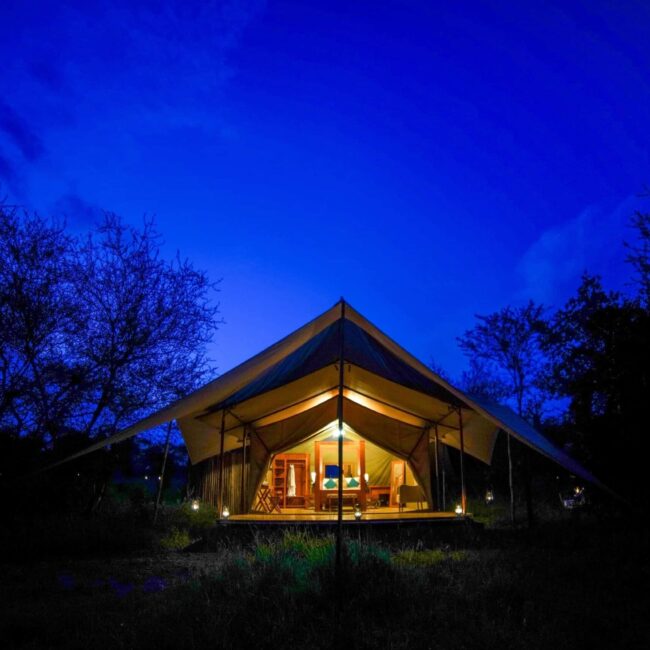 Luxury safari tent glowing at twilight in the Serengeti bush, Tanzania