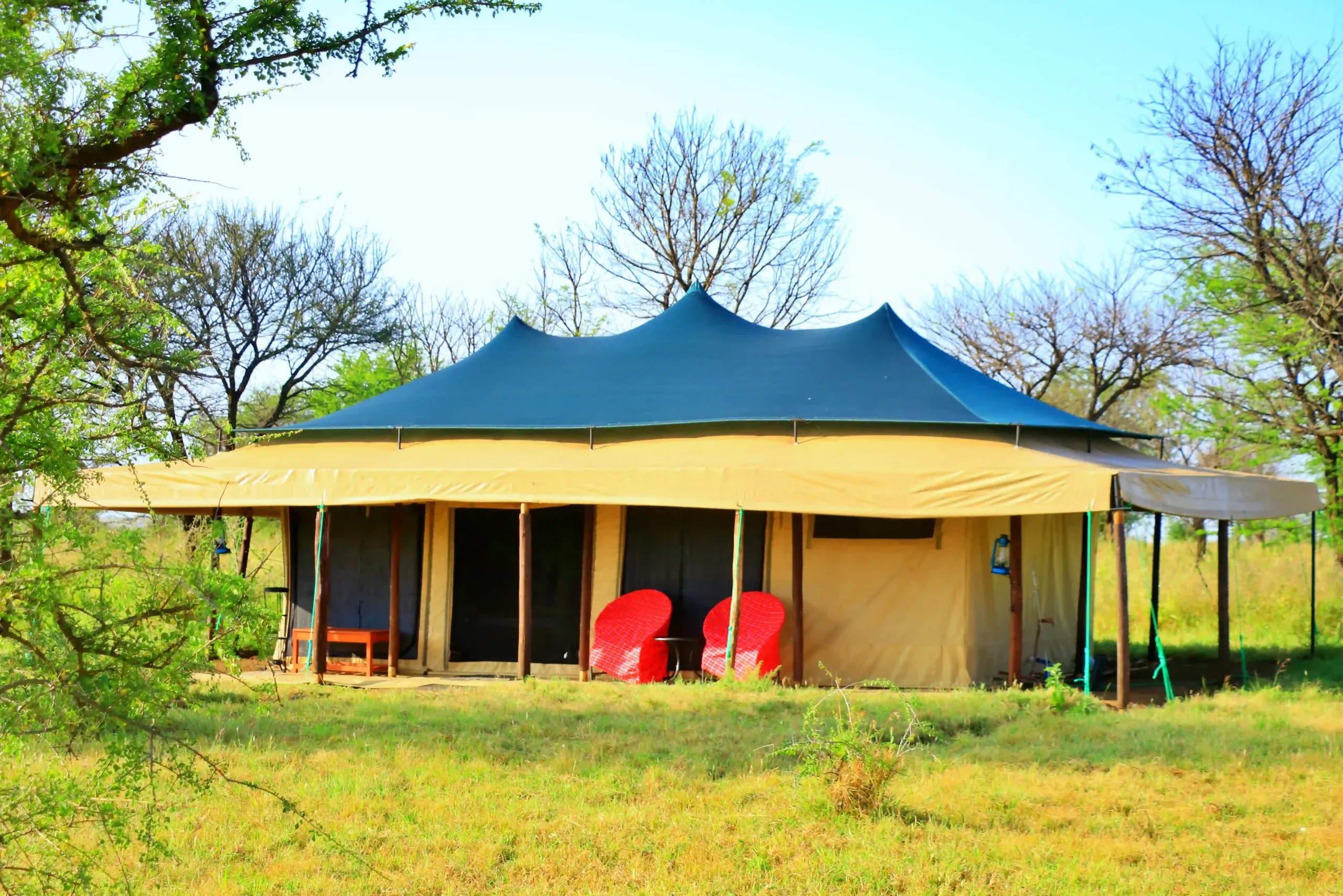 Luxury tented safari camp in Tanzania surrounded by acacia trees with a spacious veranda and outdoor seating